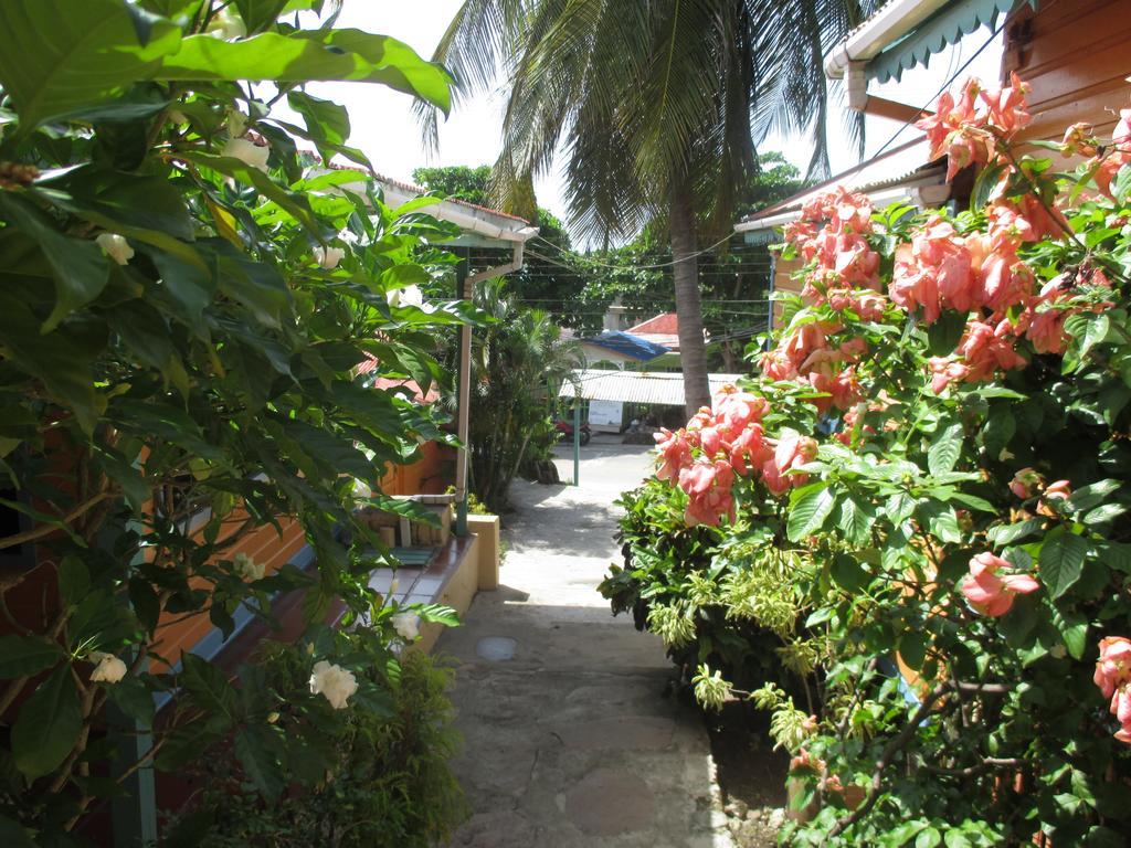 Hotel Flemming Tree Providencia Island Exterior foto