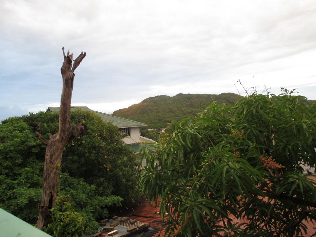 Hotel Flemming Tree Providencia Island Exterior foto